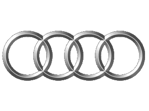 audi partner